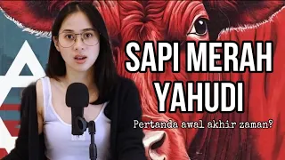 Kupas tuntas SAPI MERAH YAHUDI. Benarkah tanda akhir zaman?