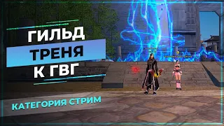 [PwClassic] Гильдейская тренировка к ГвГ(*^‿^*)