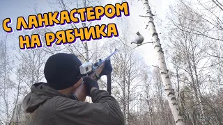 С «ланкастером» на птицу. Охота на рябчика с манком. Grouse hunting