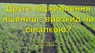 Друге підживлення пшениці: врозкид чи сівалкою?