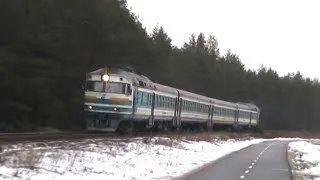 Дизель-поезд ДР1А-225 на перегоне Лийва-Кийза 2 / DR1A-225 between Liiva-Kiisa stations 2