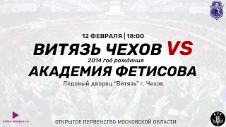 ВИТЯЗЬ Г.ЧЕХОВ 2014 - ХОККЕЙНАЯ АКАДЕМИЯ ФЕТИСОВА Г. ДОМОДЕДОВО 2014