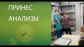 Принес анализы