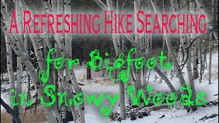 A Refreshing Hike Searching for Bigfoot in Snowy Woods