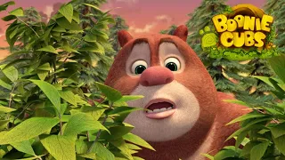 Boonie Cubs 【EP17】 | The Newbie | Cartoon