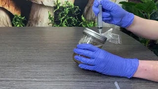 How to Make Liquid Culture Syringes!