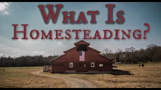 What Is Homesteading?