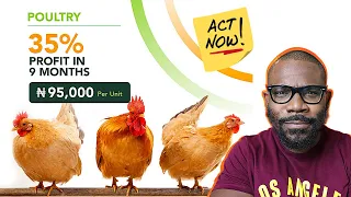 ACT NOW! 35 Percent Profit in 9 Months Poultry Investment in Nigeria