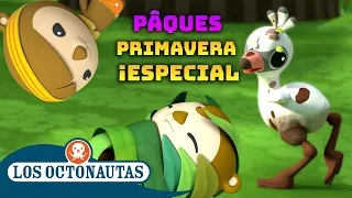 Los Octonautas - Bebés de primavera 🐣 | Compilación de Pascua | Episodios Completos