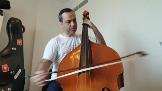 Mozart - Symphony n.40, 1st & 4th Movement - Double Bass excerpt