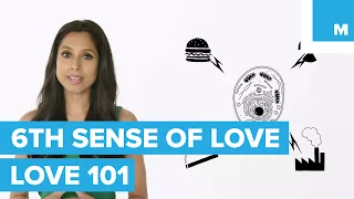 Sixth Sense of Attraction | Love 101