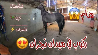 # فلوق (4) ركوب اليوم في ميدان نجران ومعلومات عن فيتامينات خيل السرعه🥇🔥