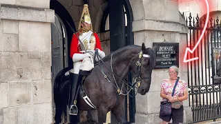 7ft Guard! Lady Surprised and Tourist turns Animal Commentator at Horse Guards