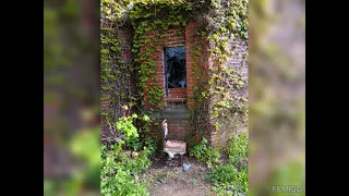 Abandoned Cleveland Aquarium #forgotten #abandoned #naturetakingover