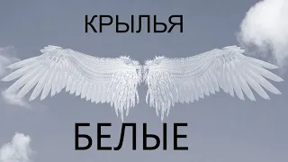 Крылья белые