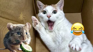YOU LAUGH YOU LOSE🤣Best Funny Animals Video 2024😻🐶Part 20