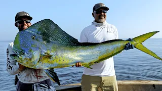 MASSIVE Dolphin Fish!! Biggest I've Ever Seen!