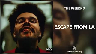 The Weeknd - Escape From LA (432Hz)