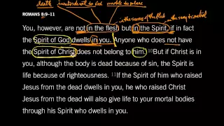 The Spirit Lives in You: Romans 8:9, Part 1