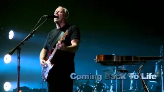 David Gilmour - Coming Back To Life - Vienne (2006)