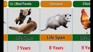 how long animals live: lifespan of Animals ( lowest and longest)
