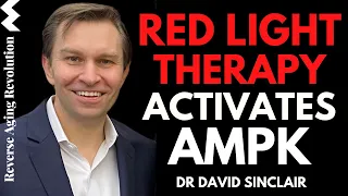 Red Light Therapy Activates Our Survival Pathway AMPK | Dr David Sinclair Interview Clips
