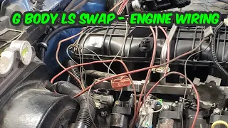 G Body LS Swap - Engine Wiring