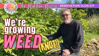 Tackling Japanese Knotweed on our Land in Rural Ireland | Vlog 17