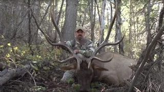 2014 Muzzleloader Elk Hunt in Utah - MossBack