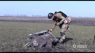 Частини ворожої ракети Х-101 виявили в полі поблизу одного з сіл Вінниччини