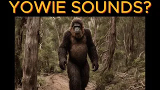 Yowie/Bigfoot Audio Captured in Australian Bush