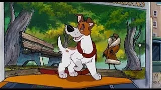 Oliver & Company * Why Should I Worry ? * Canadian French [HD]