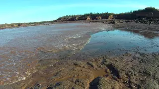 Incoming tide: Upper Bay of Fundy