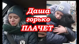 VLOG Мы взяли собаку из ПРИЮТА. Даша в СЛЕЗАХ