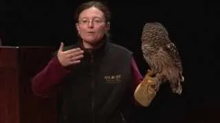 Living in the Avon Hills Conference 2014 Keynote: Wonderful World of Raptors - Predators of the Sky