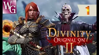 Divinity: Original Sin 2 - теперь точно начало  №1