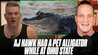 AJ Hawk Had A Pet Alligator Named "Jimmy" While At Ohio State | Pat McAfee Show