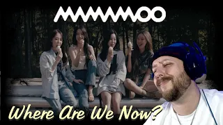 MAMAMOO - Where Are We Now? REACTION | Musician Reacts