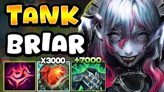 Testing ZWAG'S UNKILLABLE TANK BRIAR TOP BUILD! OP