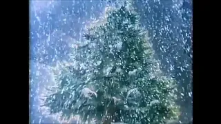 The Berenstain Bears Christmas Tree - Tiny Snowbird Tree