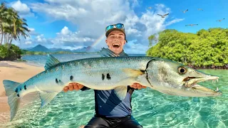 Giant Barracuda from Guadeloupe, my fishing mission !!