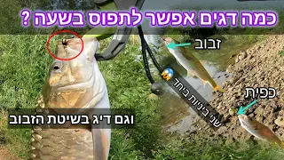 כמה דגים אפשר לתפוס בשעה אחת בנהר הירדן ?. וגם דיג בשיטת הזבוב. שני ביניות ביחד😱 #fishinginisrael