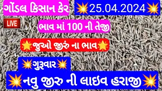 આજના જીરુ ના ભાવ | જીરુ ના ભાવ | જીરુ નો ભાવ jeera na bajar bhav | Gondal marketing yard 25-04-2024