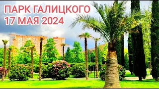 Россия. Краснодар. Парк Галицкого. 17 мая 2024 год.