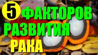 5 факторов развития рака. Продукты которые вызывают рак