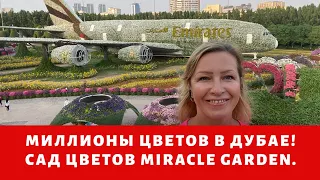 Дубай 2020. Сад цветов в Дубае (Miracle Garden Dubai) стал еще лучше. Уникальные фигуры из цветов.