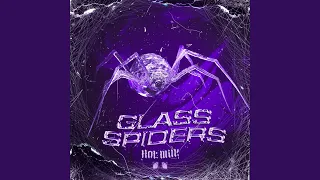 Glass Spiders