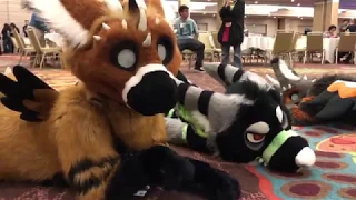 Biggest Little Fur Con 2018 with Telephone and Tayerr