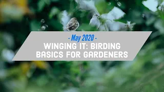 May 2020 - Sandy Masuo "Winging It: Birding Basics for Gardeners"