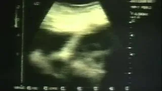 Progeny Trailer 1998